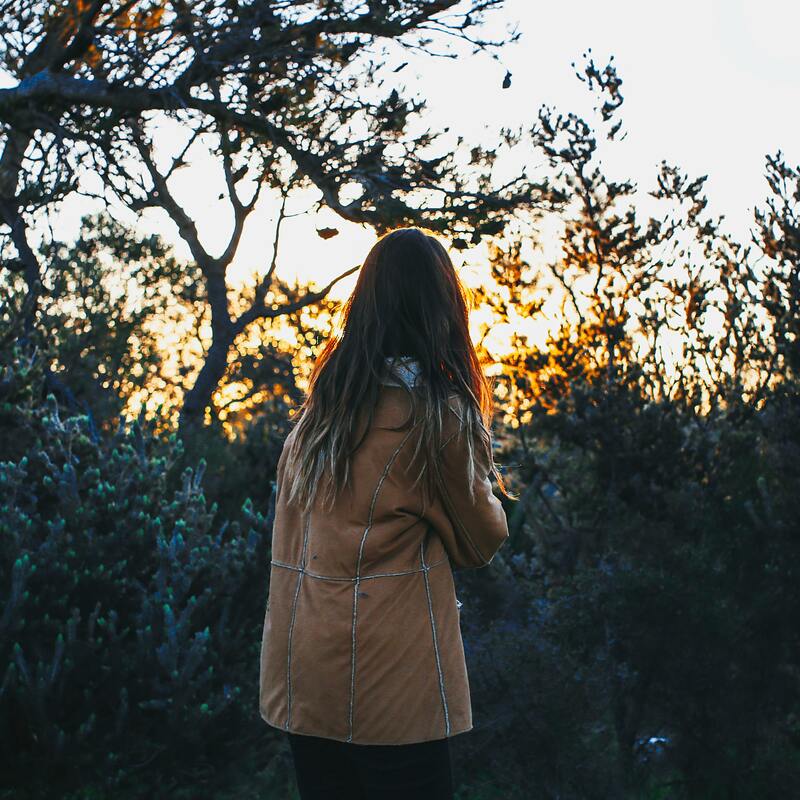 Mindful Nature Observing the Observed state